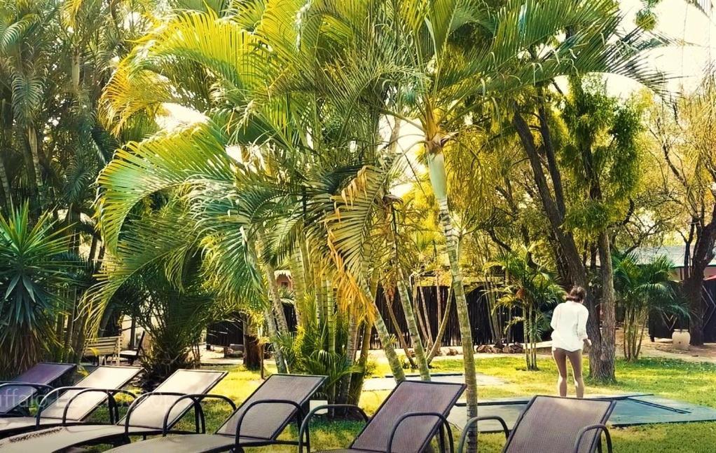 Buffalo Hotel 3*